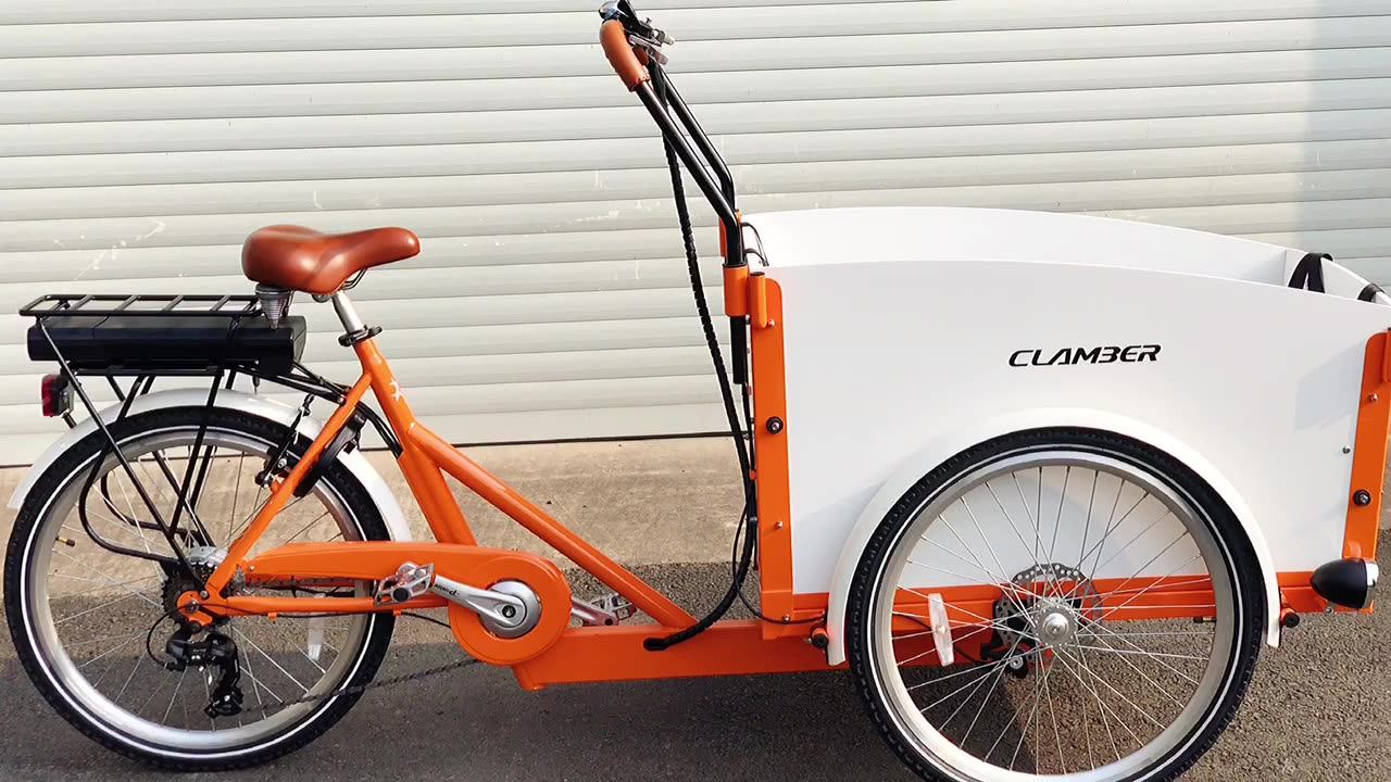 Electric Tricycle Pedal Assisted Wooden Bicycle Motorized Cargo Bike In
