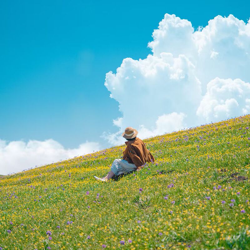 [Recommended for Leisure Travel] Xinjiang Tourism 7 Days 6 Nights Small Group Tour to Yili, Sayhu, Kuerding, Nalati, Aktas