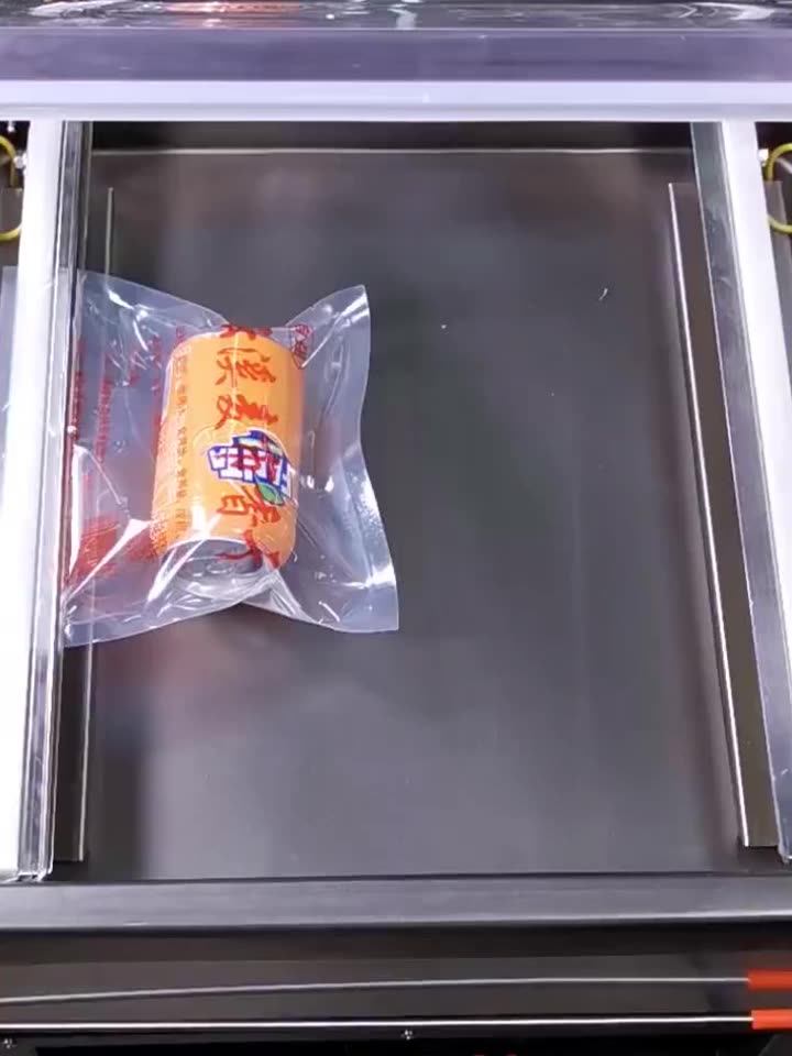 Plantain Single Chamber Vacuum Food Sealer Machine Best Professional