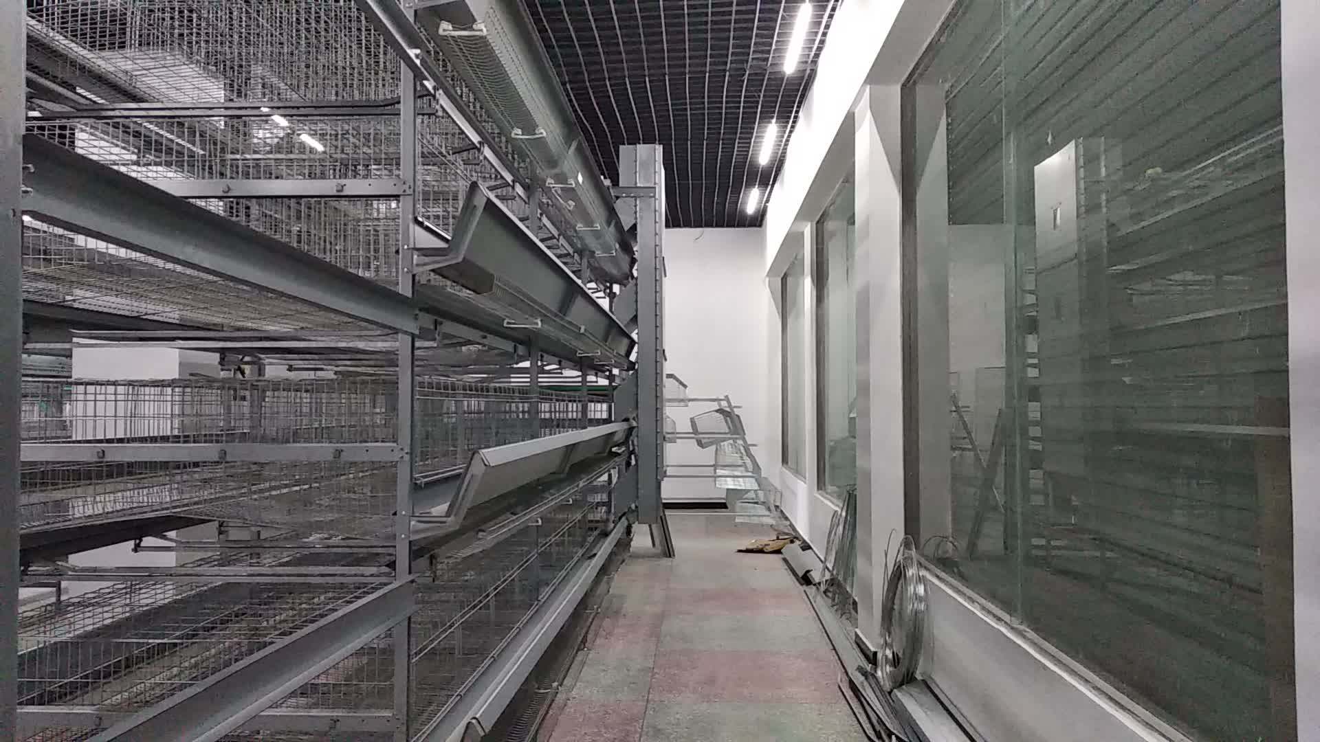 Stable Steel Structure Professional Chicken Egg Layer Cage Commercial