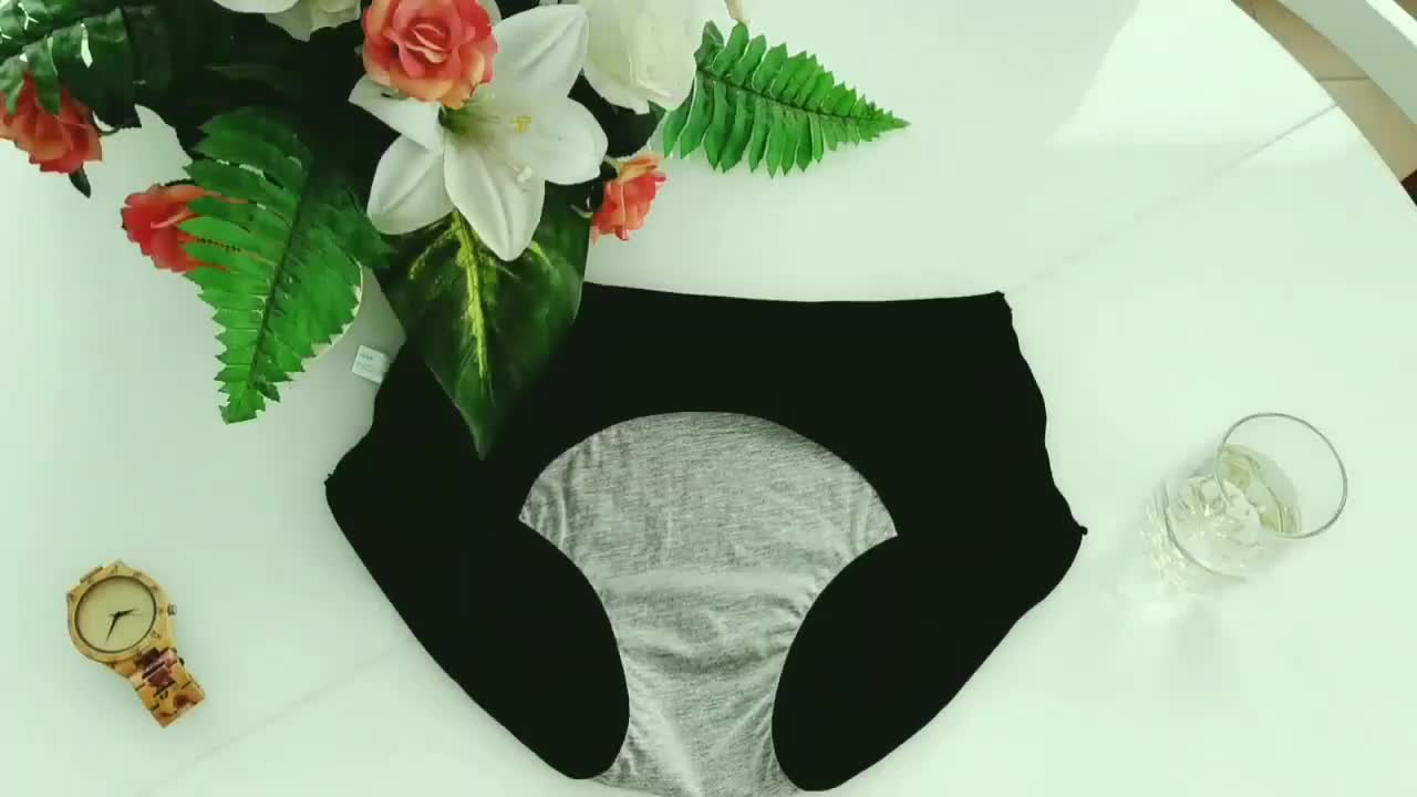 Wholesale Leak Proof Menstrual Panties Physiological Pants Women