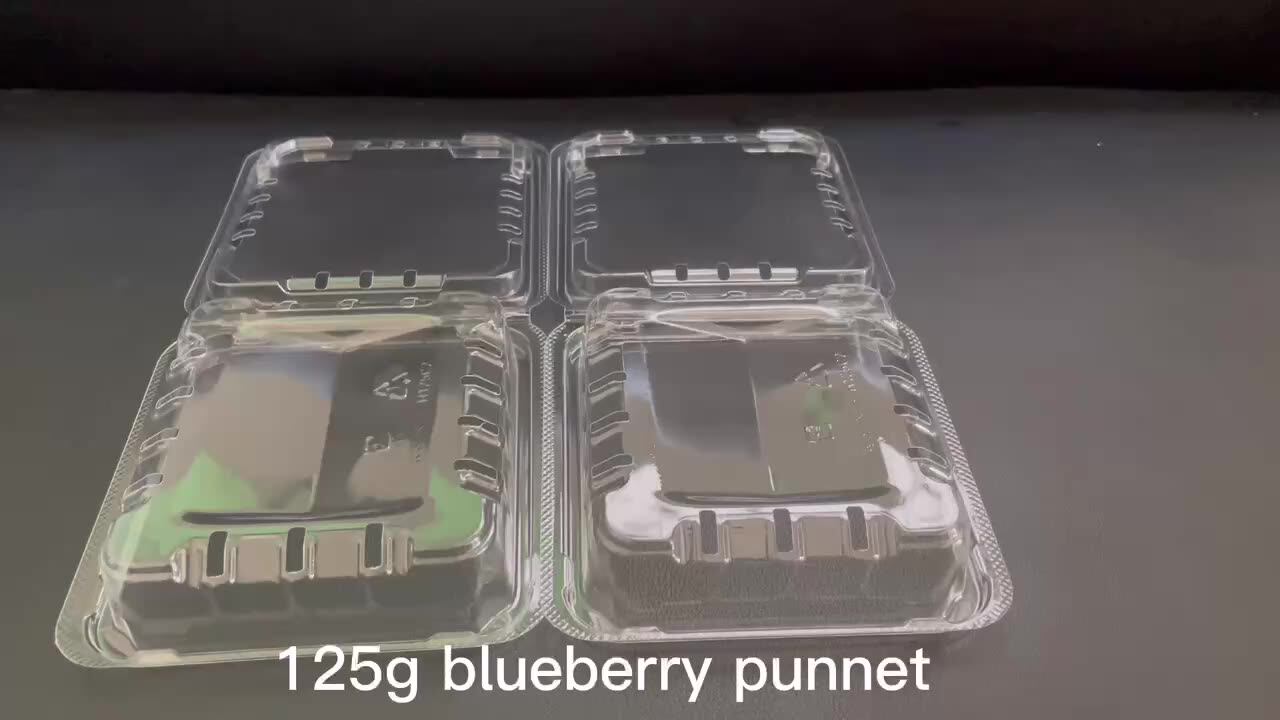 Disposable Rpet Raspberry Blueberry Packaging With Automation 125gram ...