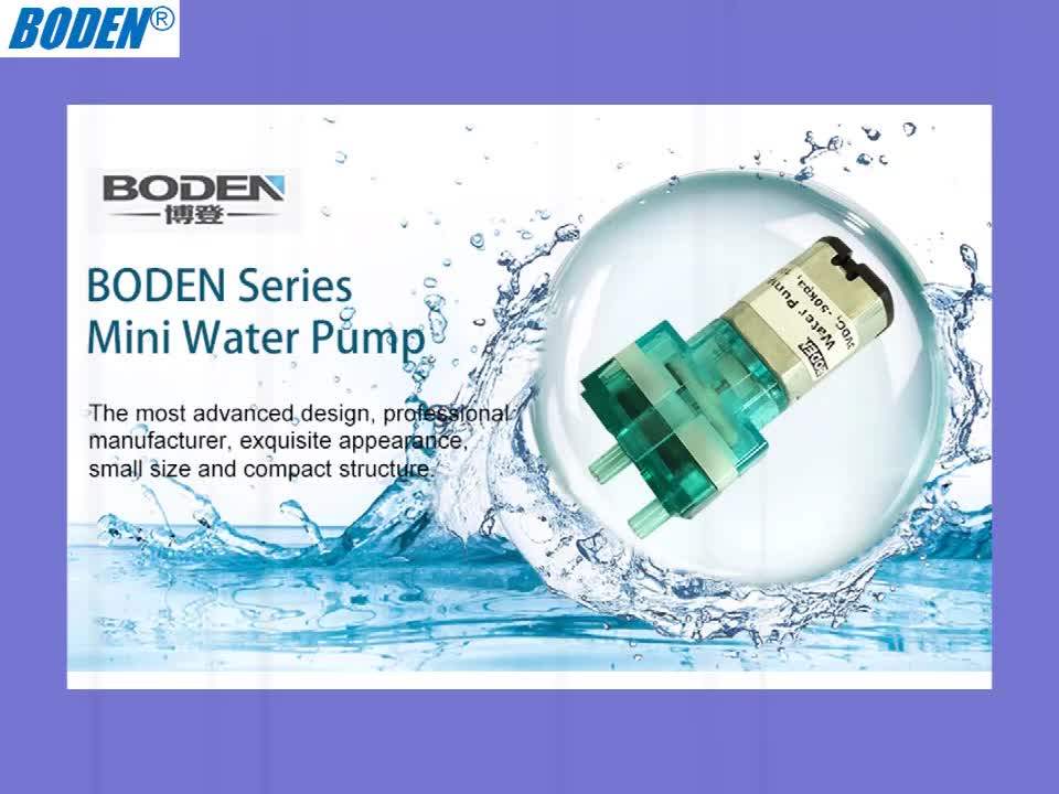 Smallest 3v 6v 12v Mini Dc Micro Water Pump 100ml With Carbon Brush