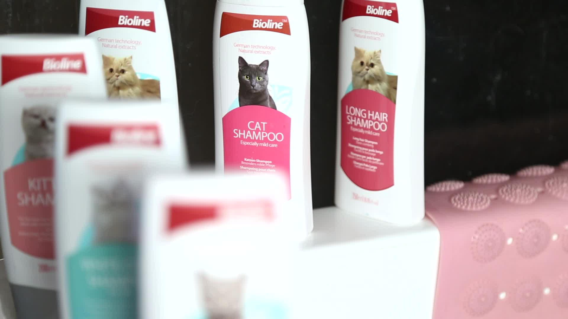 Pet шампунь для кошек