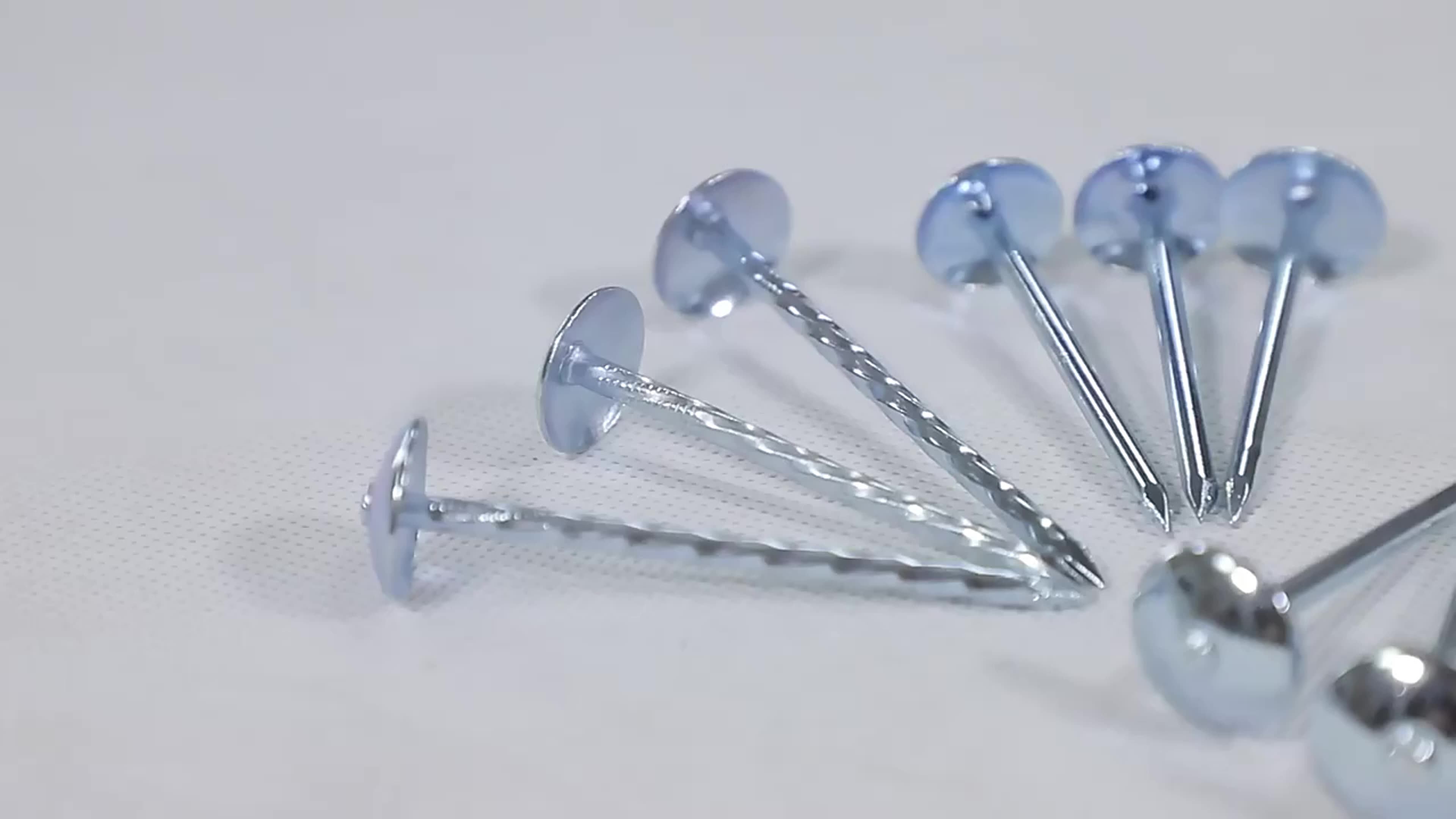 Eg Roofing Nails With Umbrella Head / Metal Africa Roofing Nails Manufacturers In China Clout