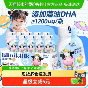 Lightly Flavored Blueberry Milk with Dha Algae Oil, a Nutritional Drink Containing Calcium, Iron, and Zinc, Suitable as a Breakfast Companion for Children and Students