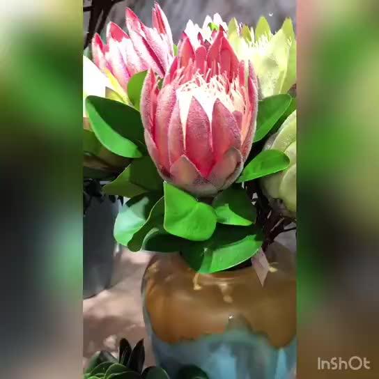 F1433 Hot Sale Factory Large Size Silk Artificial Protea Red King