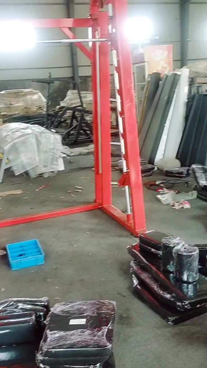定制力量器械健身房商用必确系列双功能一体机史密斯训练专业训练-阿里巴巴