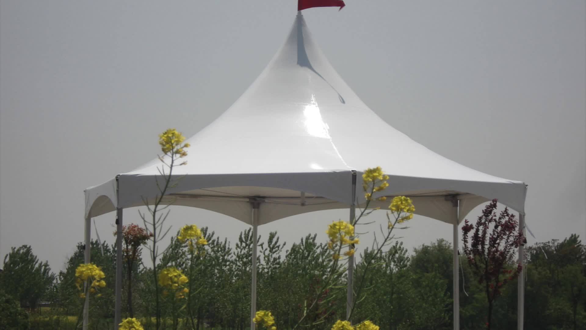 Premium Vinyl Hexagon High Peak Frame Marquee Tent For Kenya Wedding