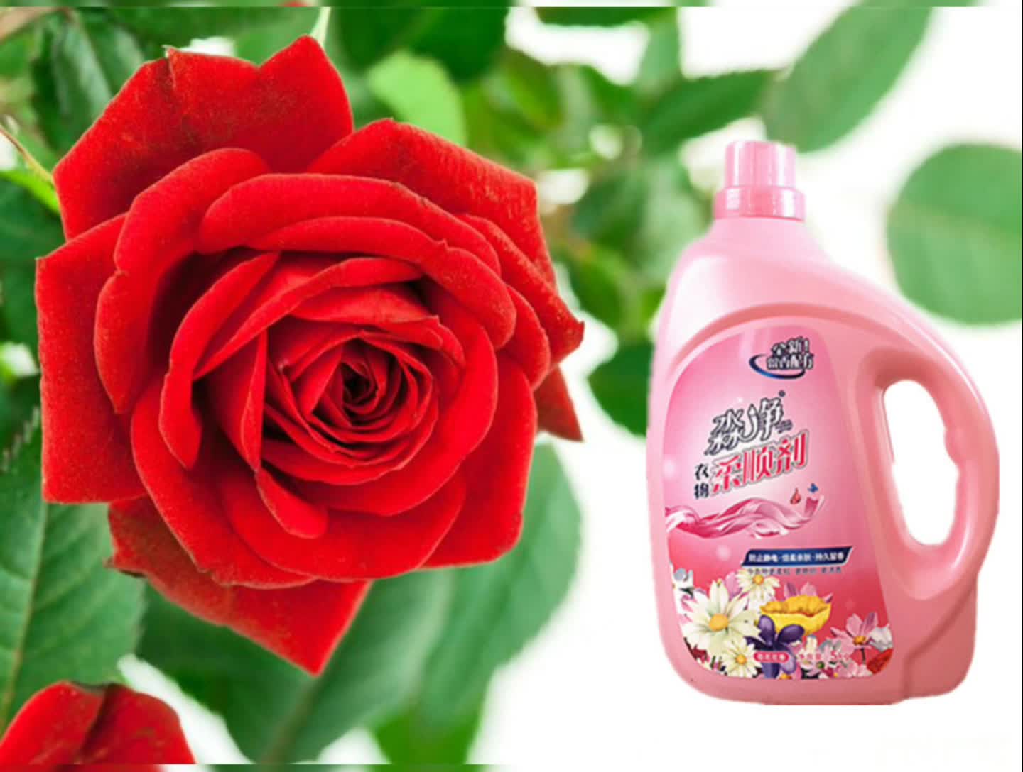 2kg Fabric Softener Rose Fragrance Washing Up Liquid Laundry Detergent