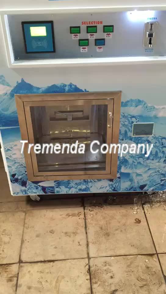Selfservice Ice Vending Machine /ice Vending Machine With Auto Bagging