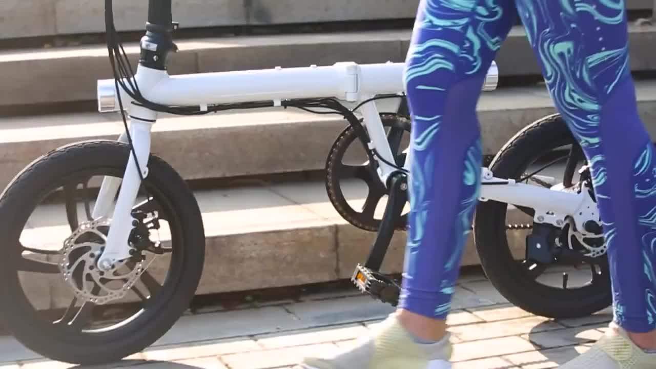 Robstep Fiido Dyu Battery Electric Folding Bike Bicycle Singapore With