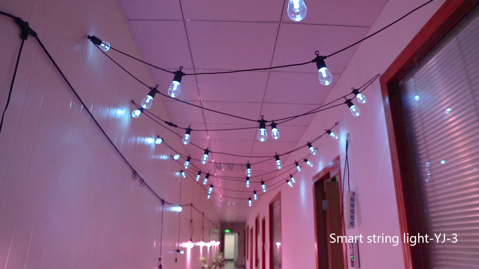 Waterproof Led Festoon Holiday Lighting Vintage Patio Globe 48ft