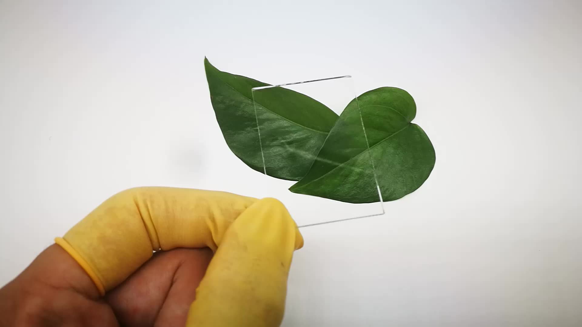 Ircf Uv Ir Cut Off Coating Film Glass Lens 600nm 635nm 650nm 700nm