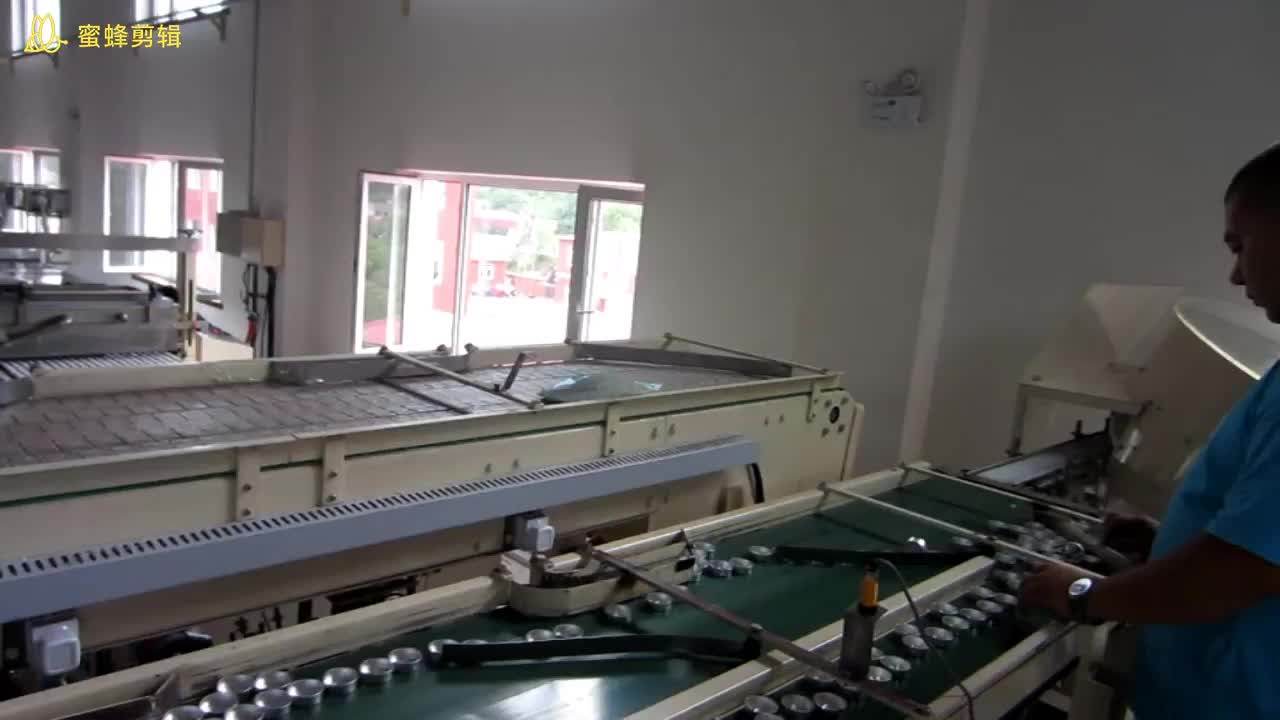 Speed Controlling And Automatic Filling Scented Tealight Candle Making