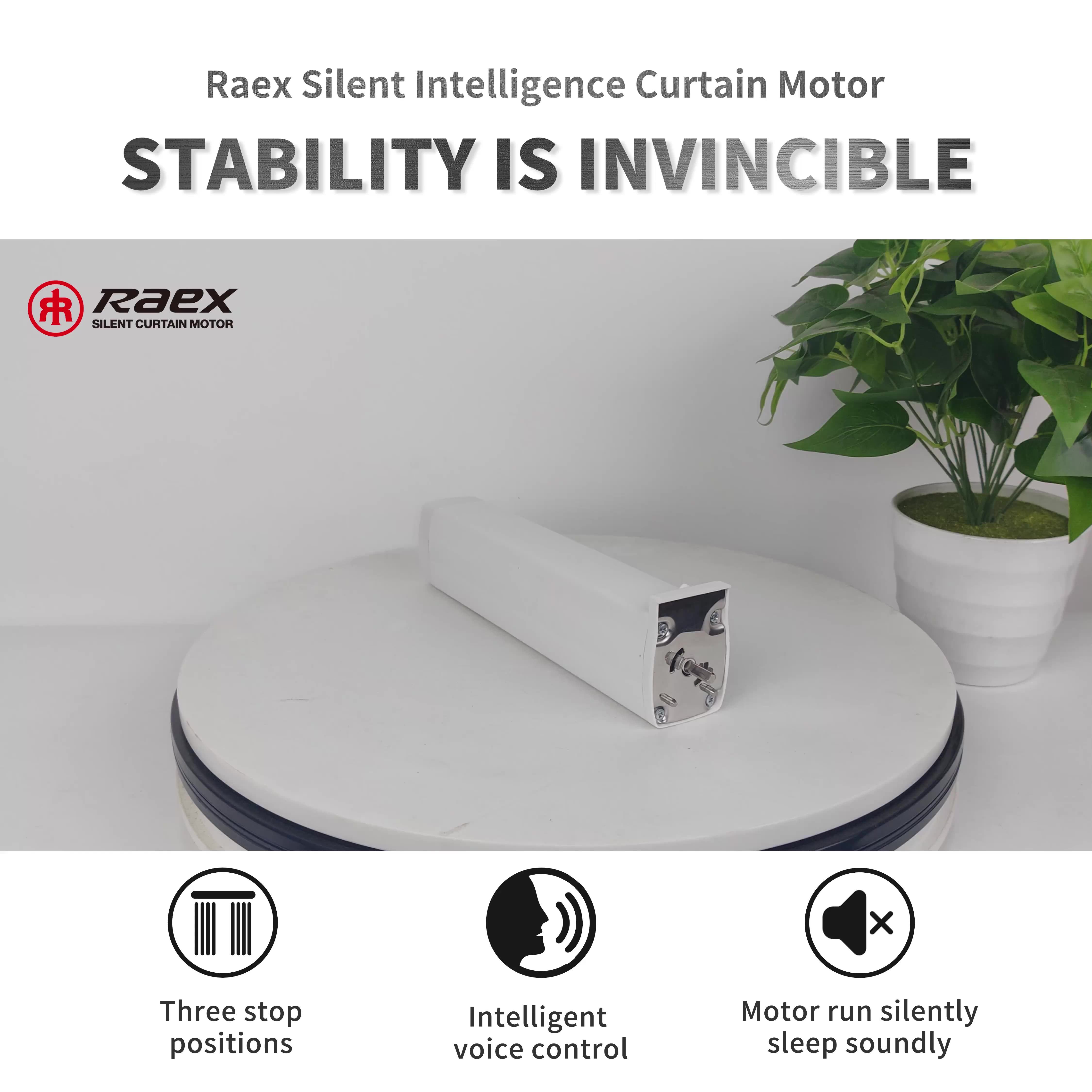 Raex Md950 Motorized Hinges System Home With Remote Control Automatic