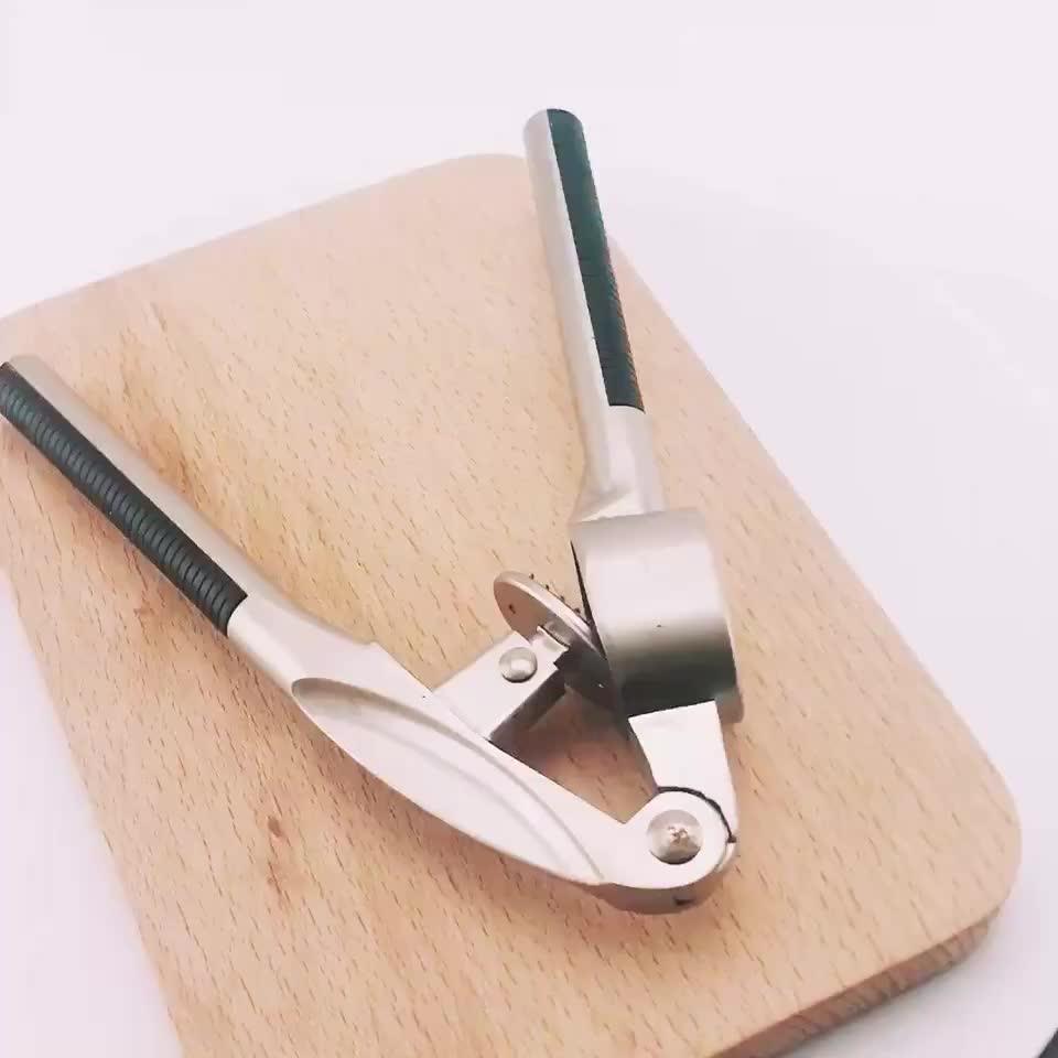 Vegetable Kitchen Crush Garlic Tool Alloy Garlic Press Tools Buy