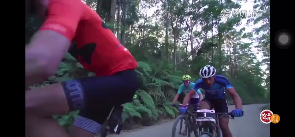 tommaso monza road bike