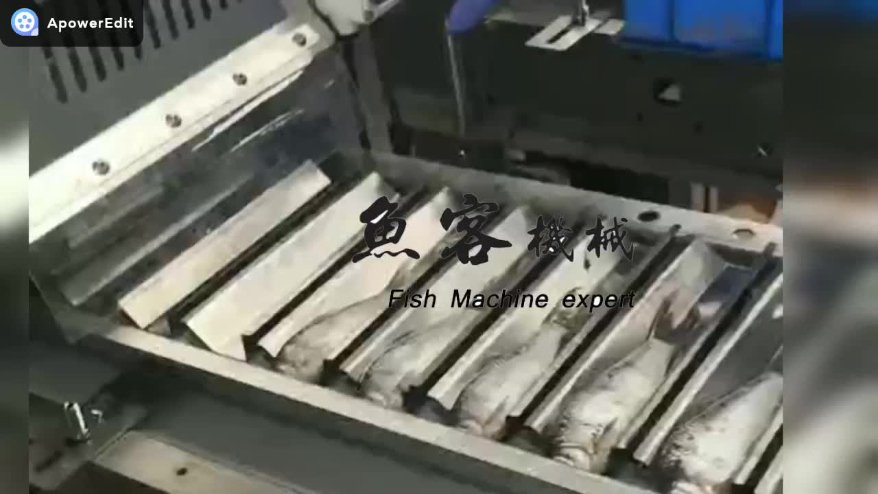 New Arrival Automatically Fish Cutting Head & Tail & Gut Machine Fish