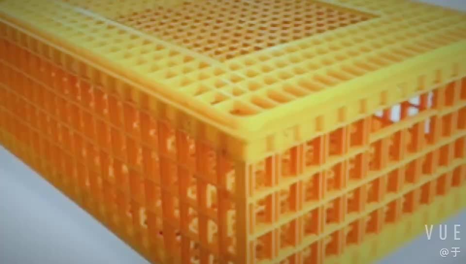 Plastic Pigeon Chicken Training Box Transport Cage Pigeon Bird Trap