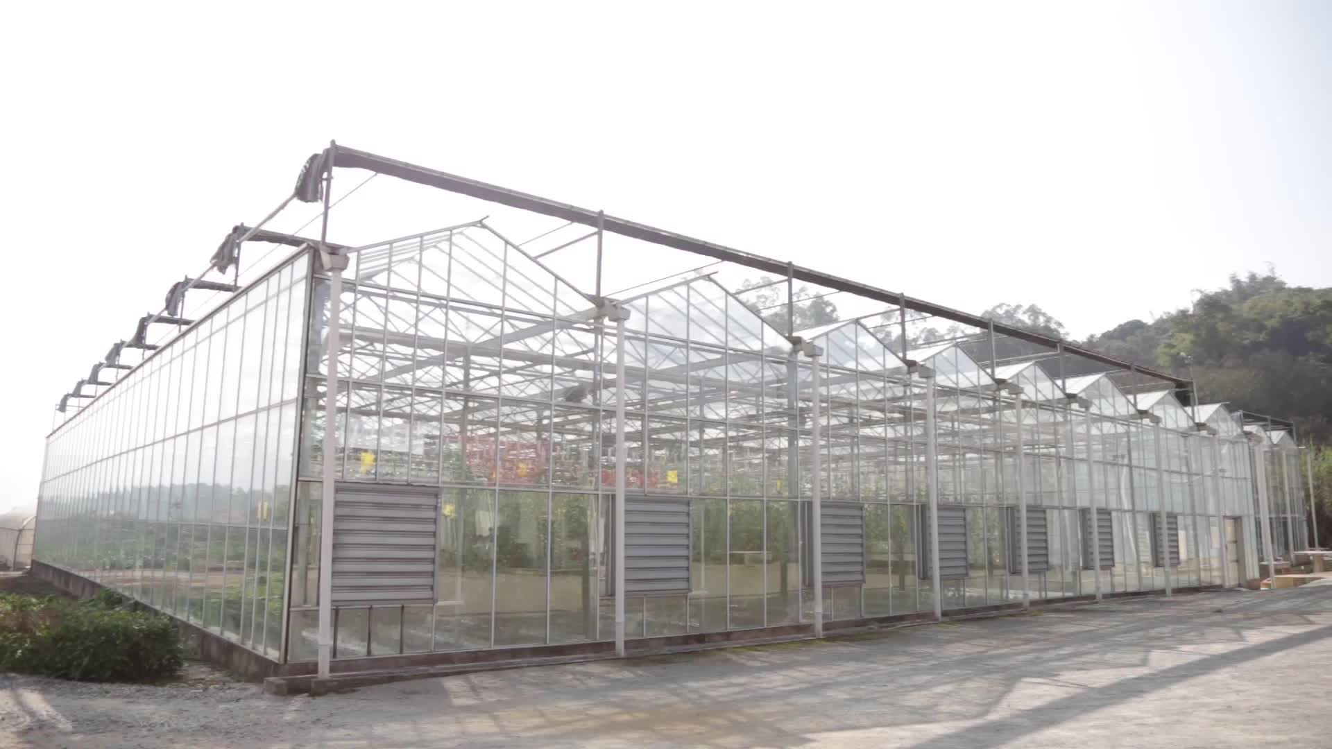 Commercial Used Polycarbonate Greenhouse For Sale Buy Polycarbonate