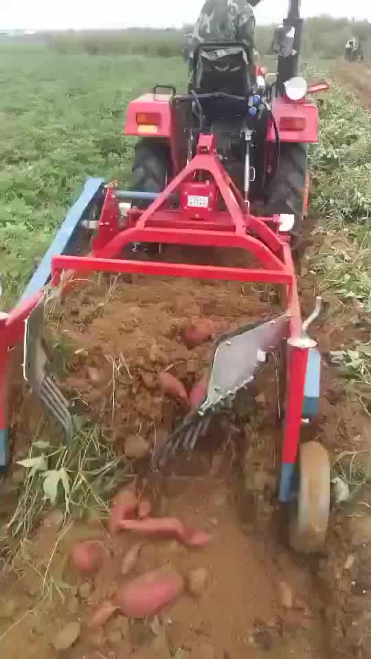 Automatic Root Crops Harvester Machine Sweet Potato Harvesting Machine