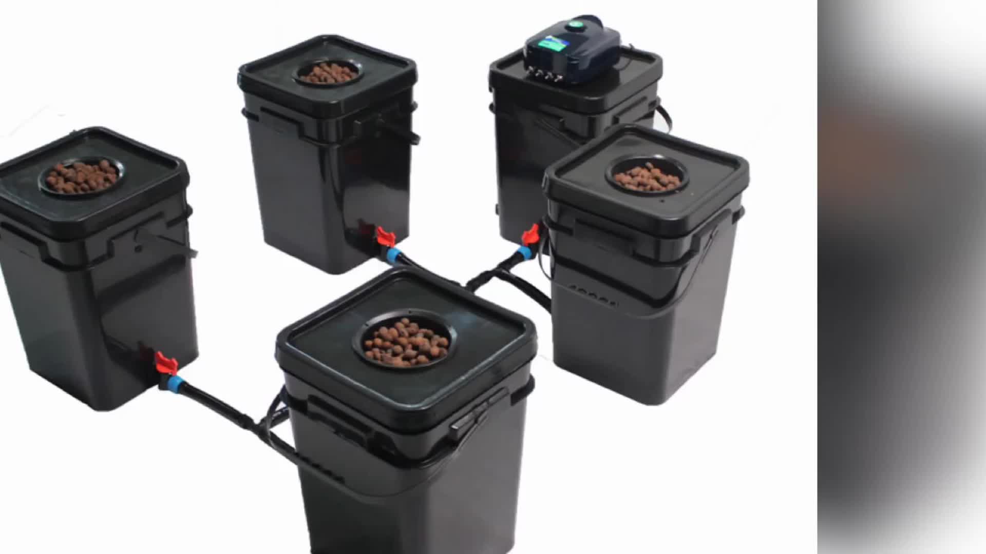 Dwc Hydroponics Growing Systems Home Hydroponic System Planter 5 Gallon