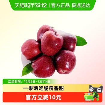 Li xiaotian gansu huaniu apple noodles baby food complementary food