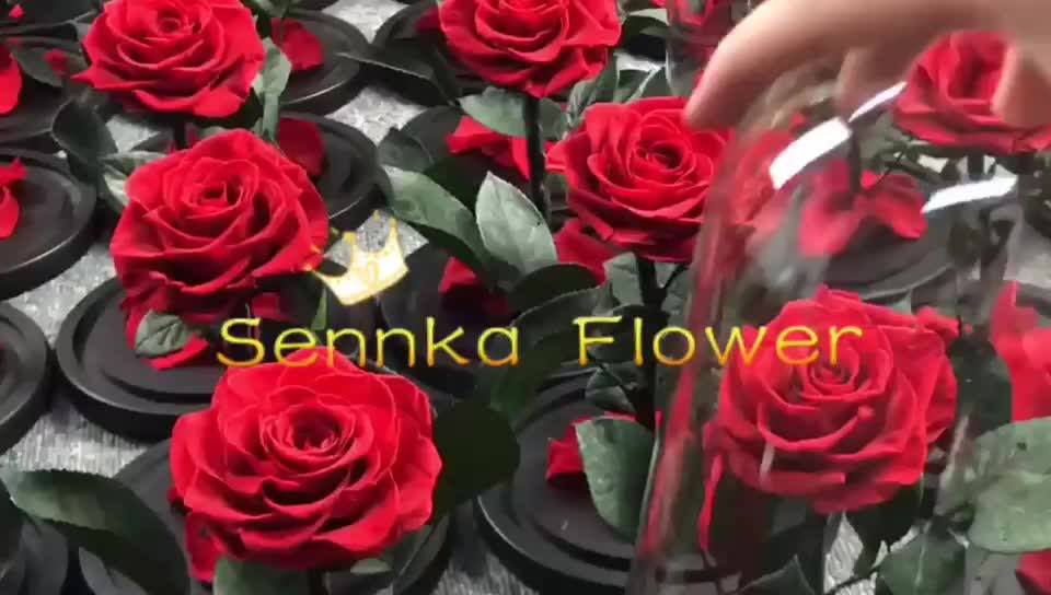 2019 Hot Sale Good Price Ecuadorian Preserved Eternal Rose Real Golden