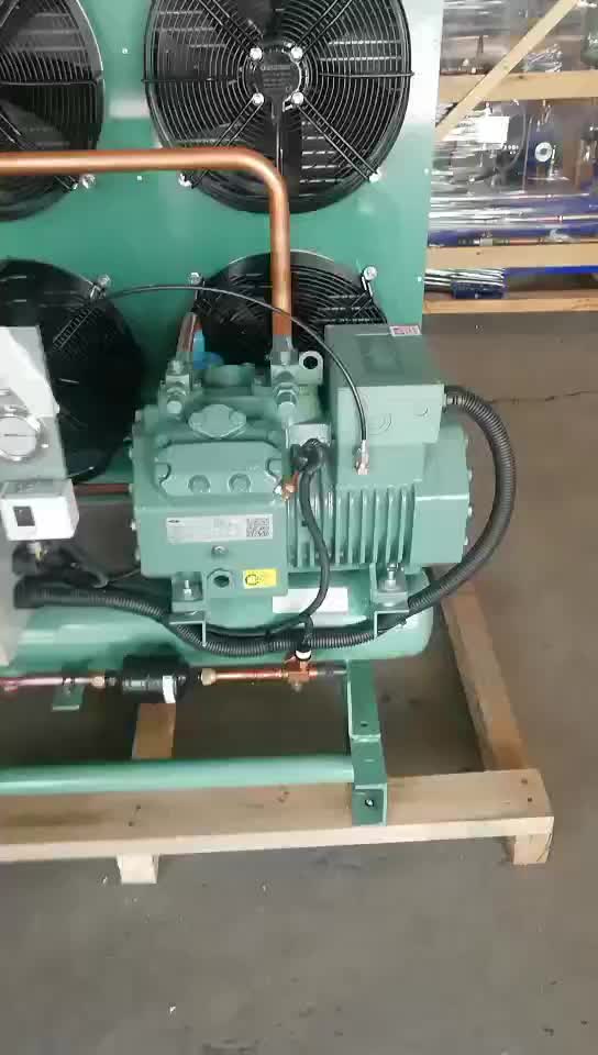 Excellent Performance Refrigeration Compressor For Blast Freezer Cold