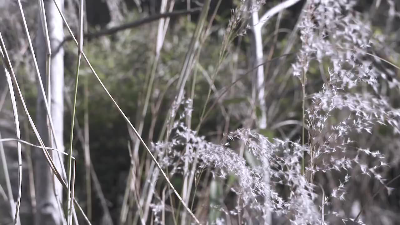 2020 1600w~ 2000w 60v Off Road Big 2 Wheel Fat Tyre Folding Electric