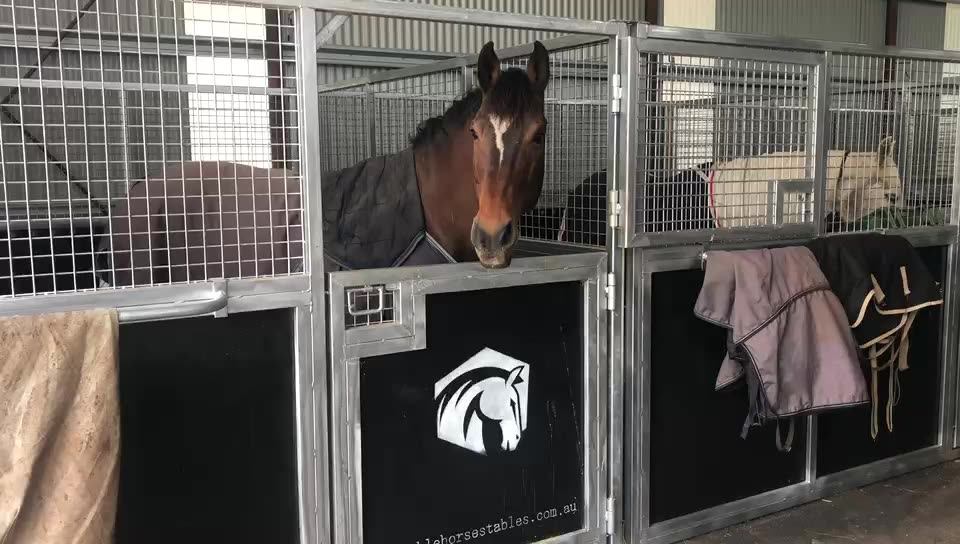 Horse Stalls horse stables / portable steel horse stable for sale, View