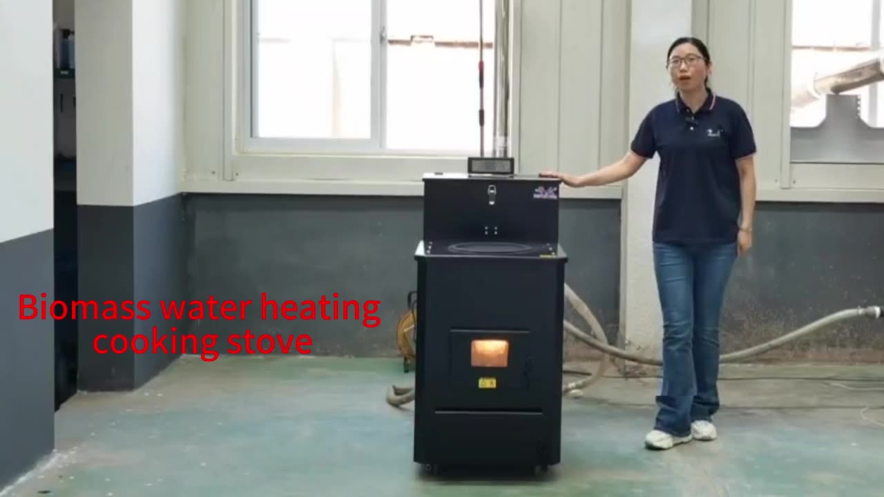 Connecting Radiator Cook Rice Pellet Stove Water Heater 15kw Pellets For Fireplace Biomass