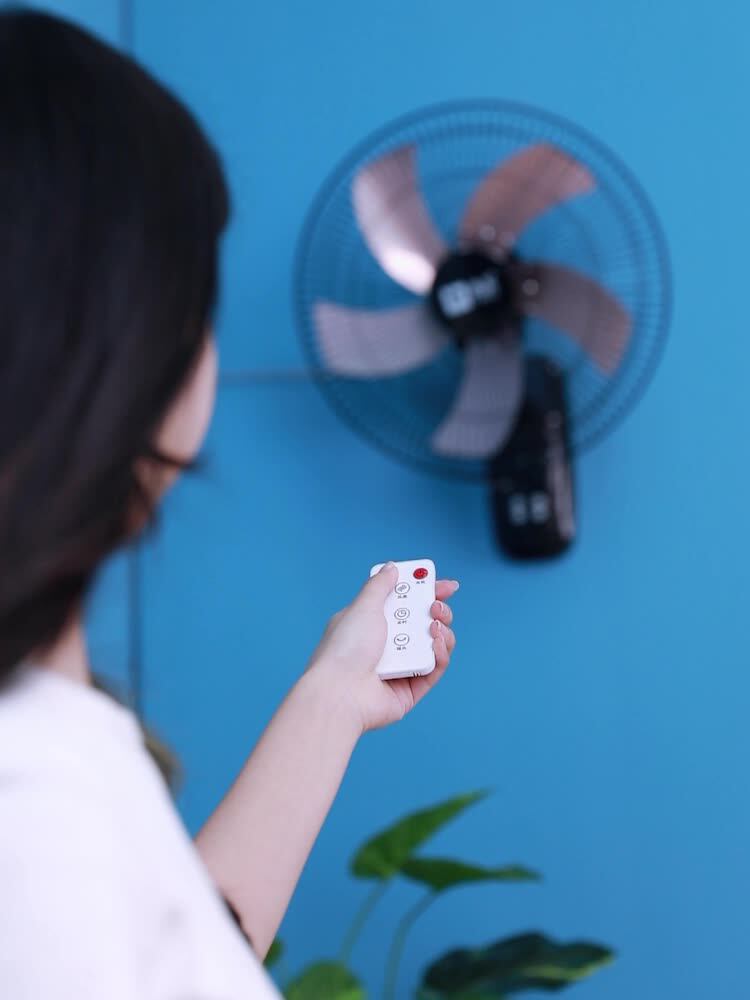 Camel wall fan Wall-mounted remote control silent household wall-mounted wall-mounted fan Industrial shaking head dining room large electric fan