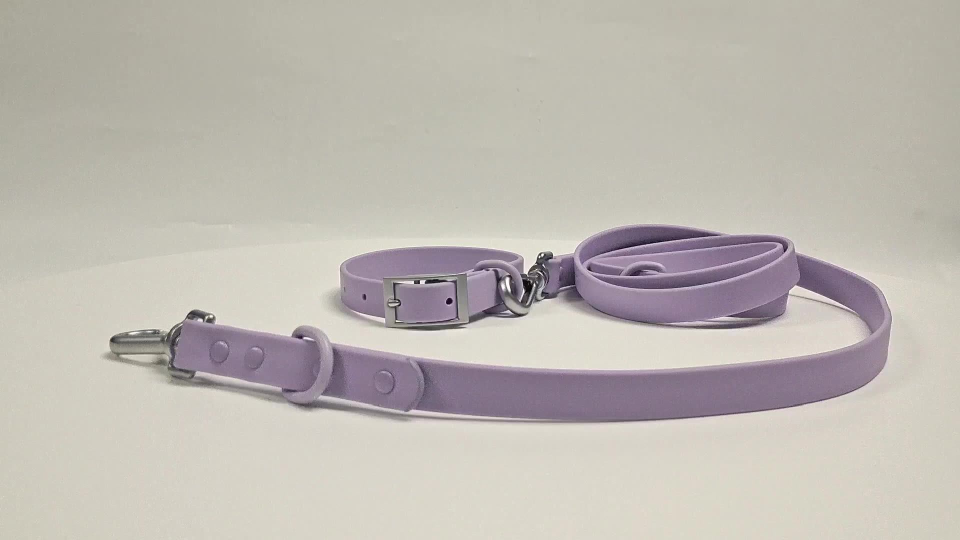 Wholesale Personalized Premium Fashion Dog Leashes With Heavy Duty