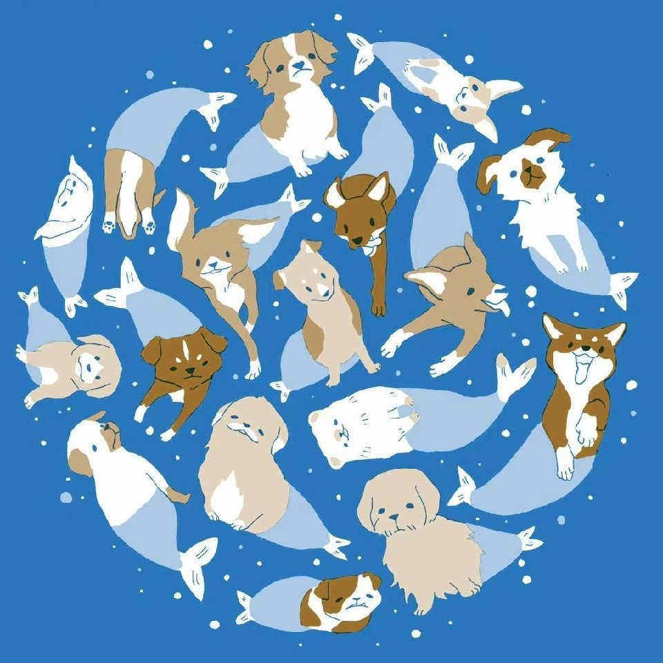 小黑和她的流浪狗