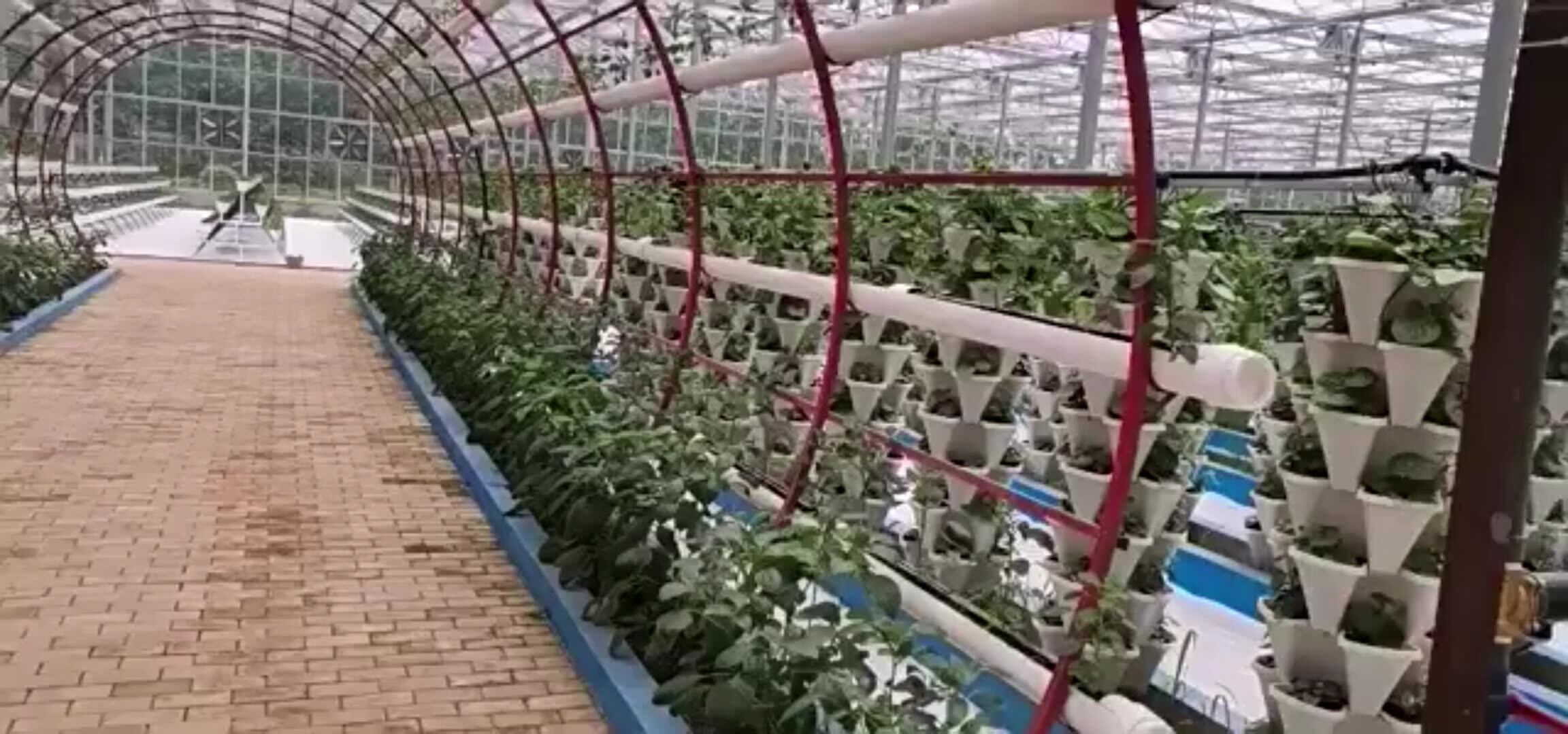 Hydroponic Tower Set Hydroponic Growth System Aeroponic Tower Automated ...