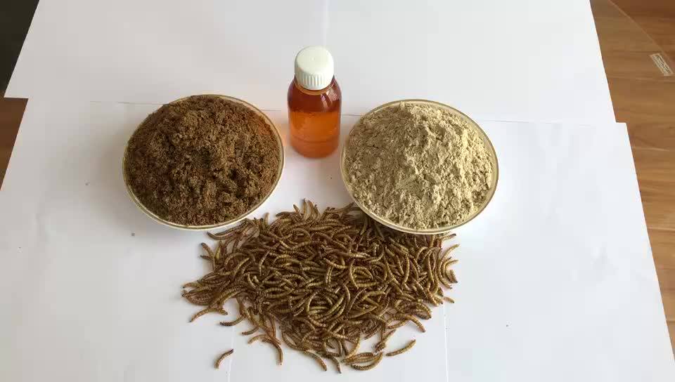 Pet Feed Dried Yellow Mealworms Dog Food Mealworm Insect Feed For Pet Buy Insect Mealworm