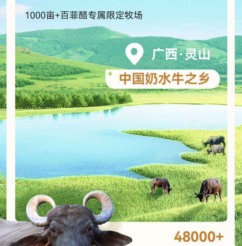 安享好物 安享B级纯奶-百菲酪水牛纯牛奶 国标