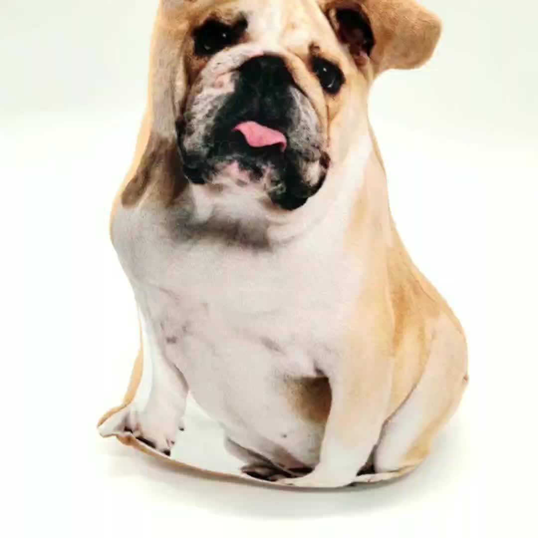 dachshund door draft stopper