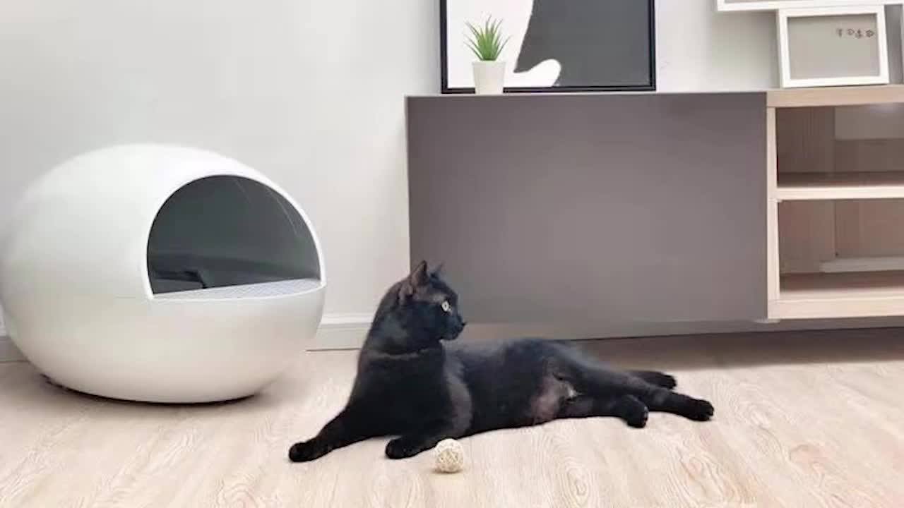 Smart Automatic Cat Litter Box Toilet Buy Automatic Cat Litter Box