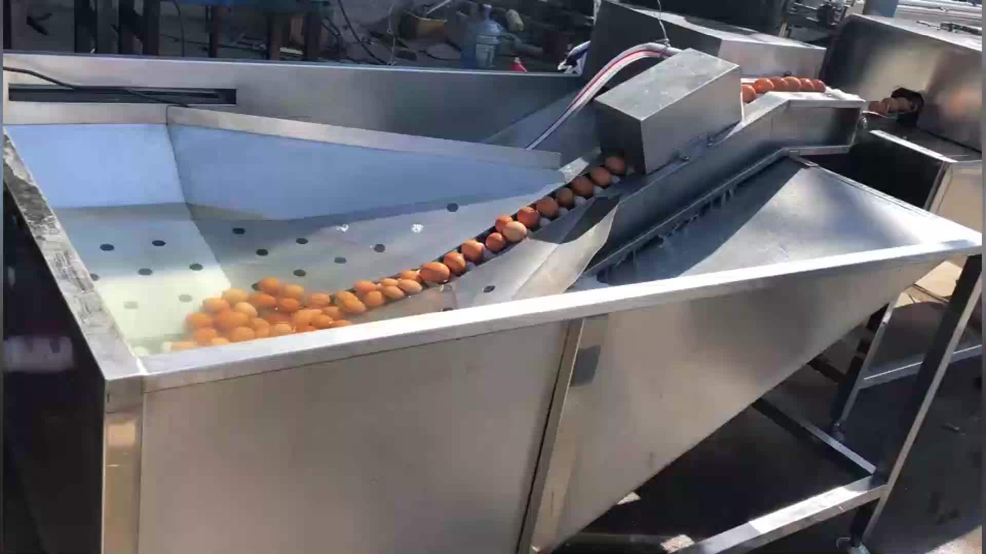 Small Egg Washer / Commercial Egg Washer / Poultry Egg Washer Buy Egg