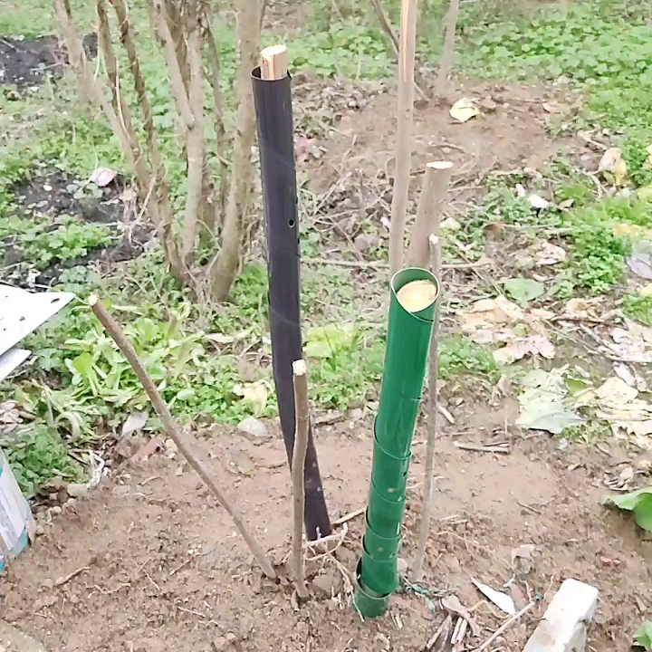 Plastic Garden Pvc Spiral Tree Guard Buy Pvc Sprial Tree Guards