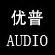 专业音频消音器厂家