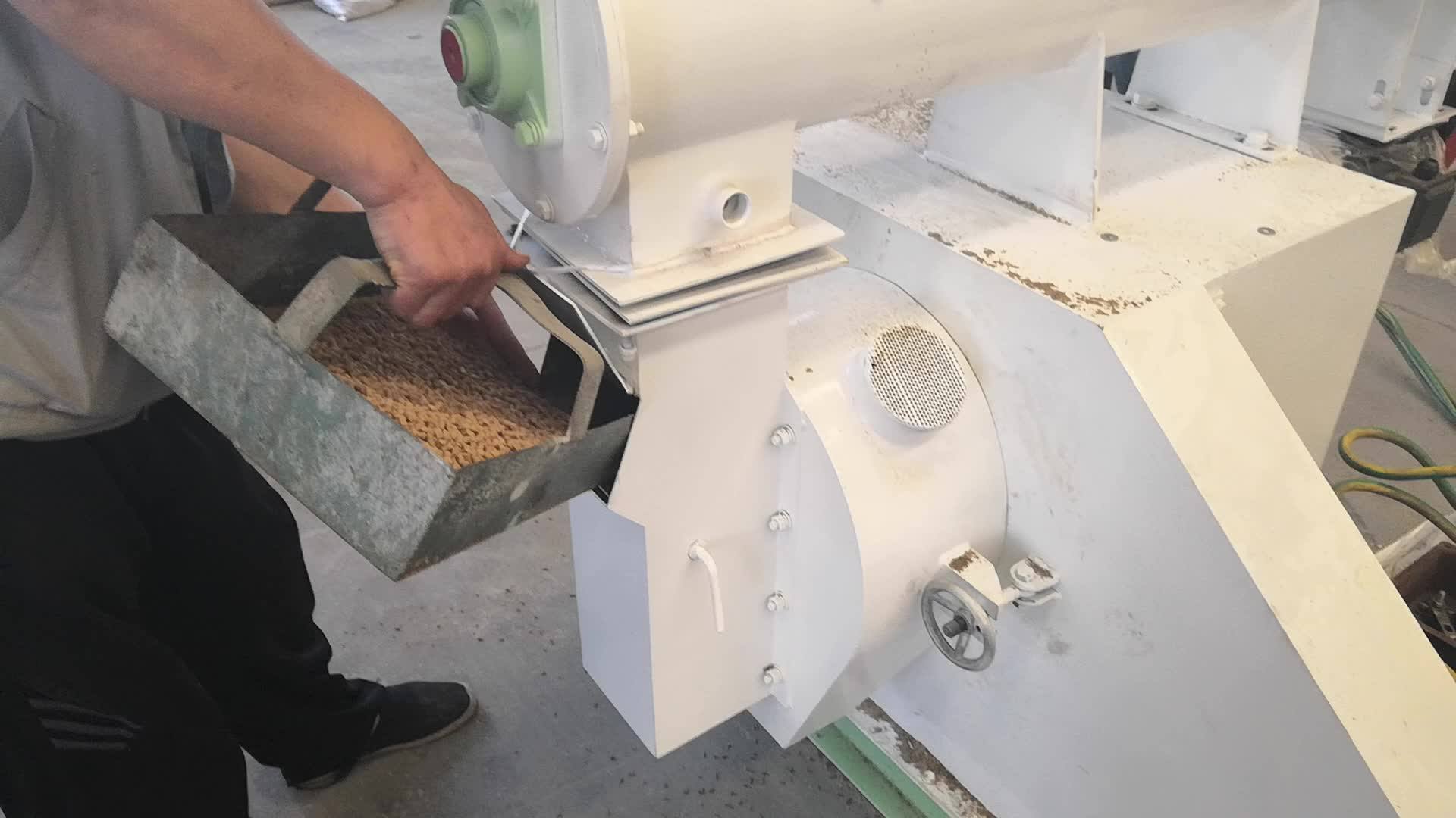 Cat Litter Pellet Making Machine Production Line Output 12 T/h Buy