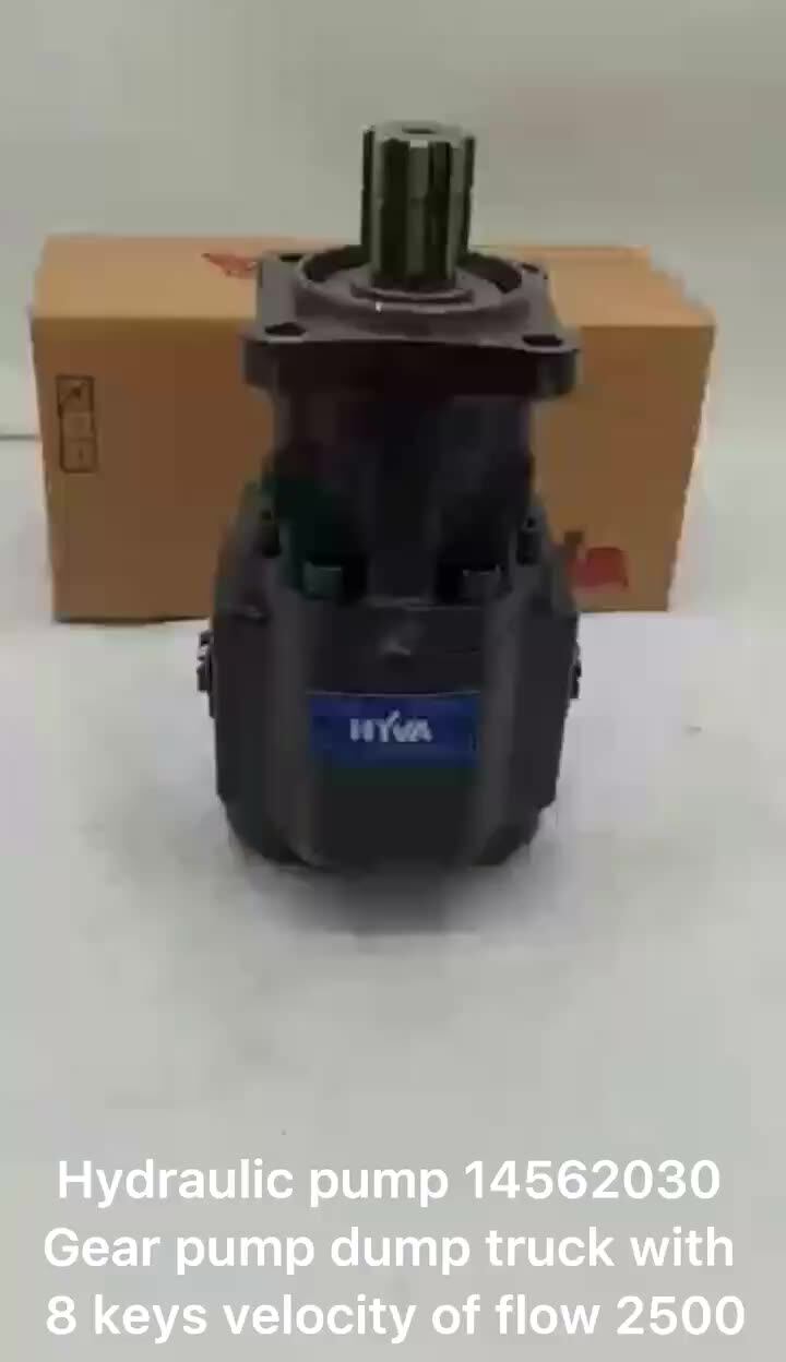 Hot Selling Original Cheap Price Hydraulic Pump 14562030 For Truck With