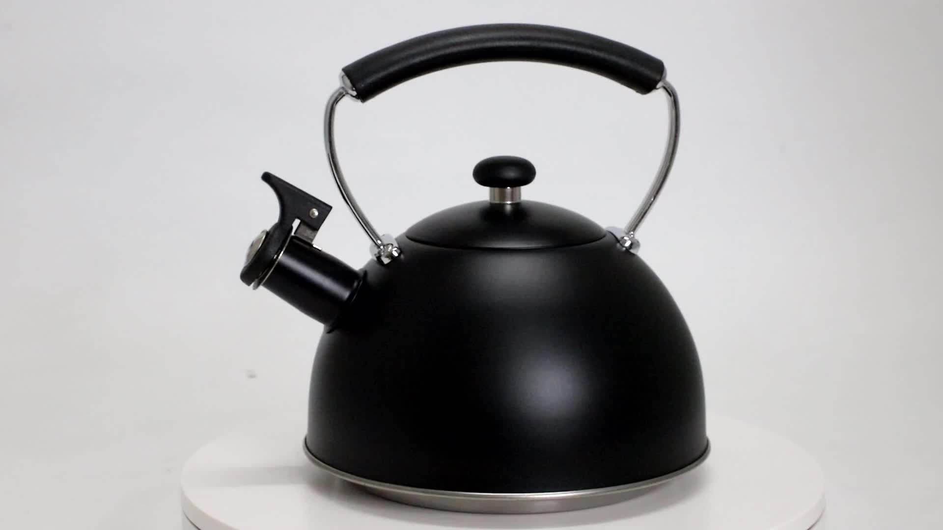 Color Painting Stainless Steel Whistling Tea Kettle Whistle Kettle