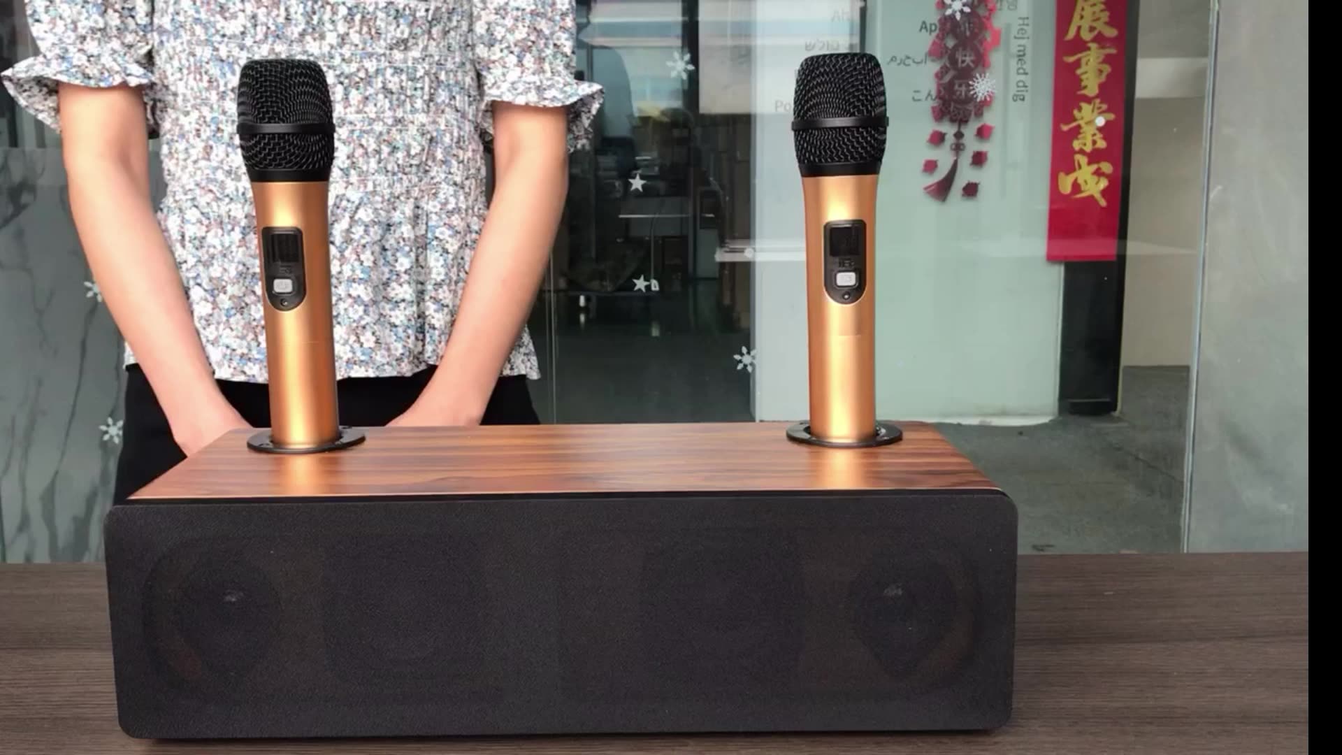 YARMEE Echo Беспроводная караоке система 2 микрофона