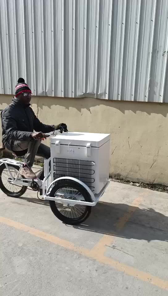 アイスクリーム販売用三輪車 68リットル冷凍庫付き ソーラーパネル搭載