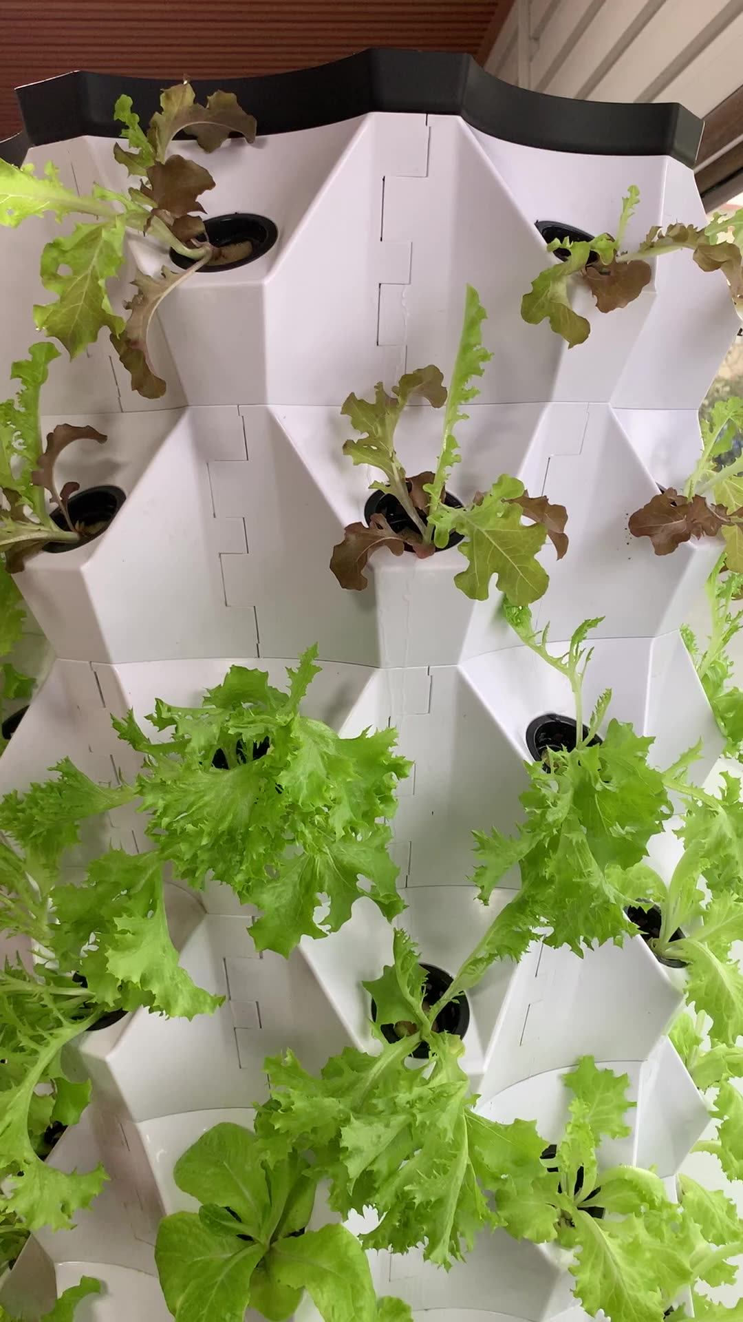 Aeroponic Growing Towers Vertical Garden Hydroponic System Buy